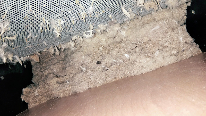 Чистка подушек - образец до-после